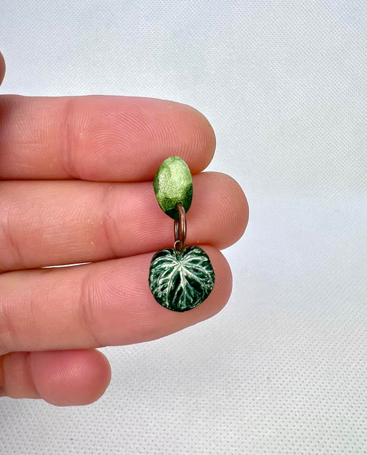Anthurium leaf earrings